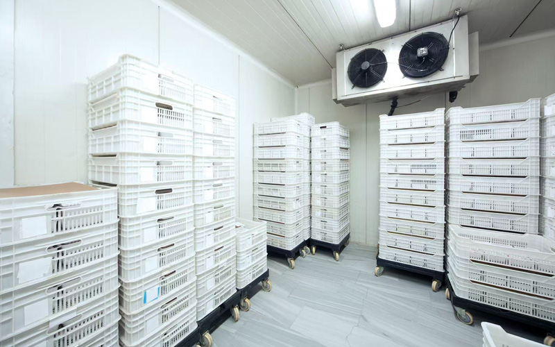 Resource Efficiency & Environmental Stewardship