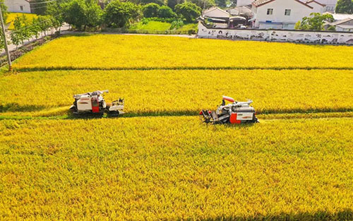 From cotton picking to harvesting, sunxfan EC variable frequency Double Inlet Centrifugal fans: a powerful engine for efficient operation of agricultural machinery and equipment