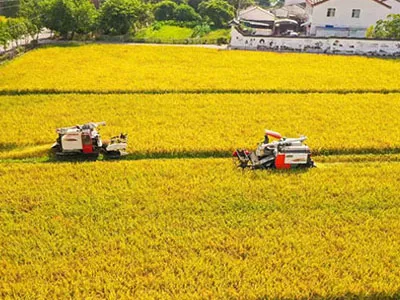 From cotton picking to harvesting, SunxFan EC variable frequency Double Inlet Centrifugal fans