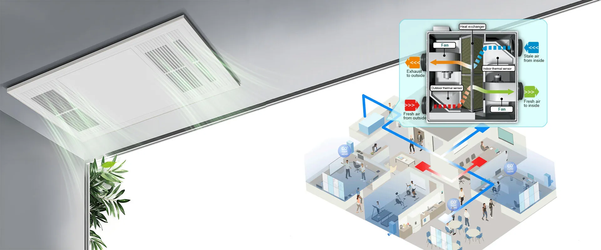 Algorithm Breathes, Wind Evolves.